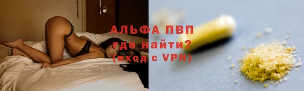 дмт Козельск