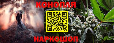 сатива Нарткала