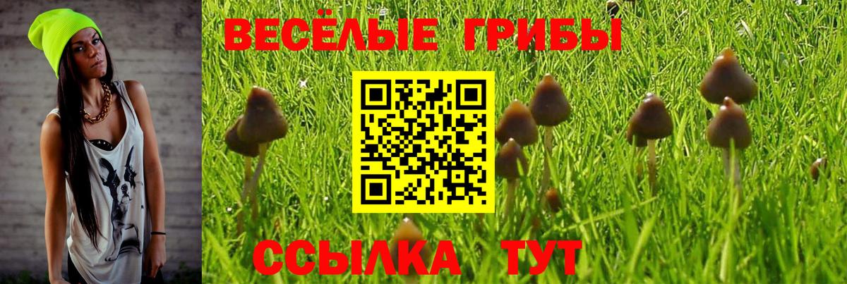 Галлюциногенные грибы GOLDEN TEACHER  где купить наркоту  Красноперекопск  Псилоцибиновые грибы Magic Shrooms  Вход с VPN 