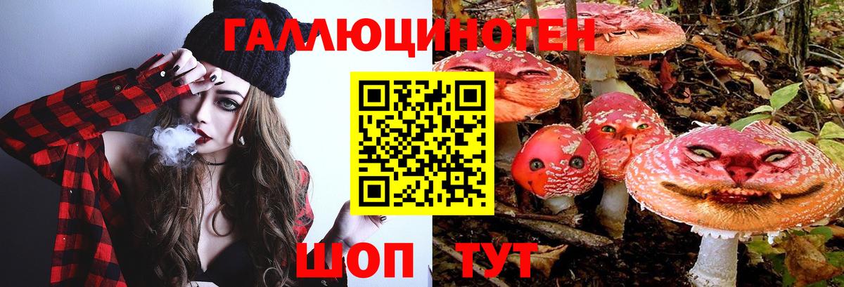 Галлюциногенные грибы MAGIC MUSHROOMS Красноперекопск