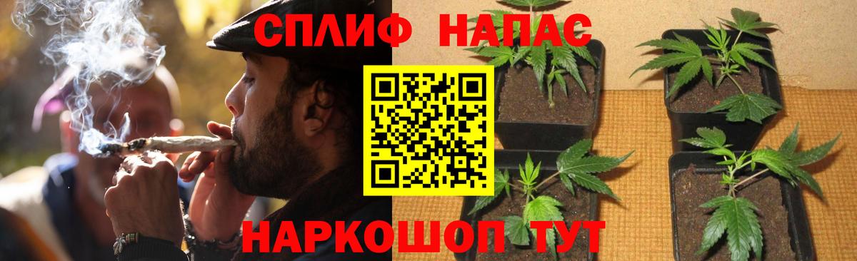 Марихуана ГИДРОПОН  МАРИХУАНА тримм  Красноперекопск  Вход с VPN 
